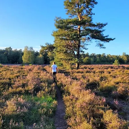 Natuurhuisje De Zwaluw Дом отдыха